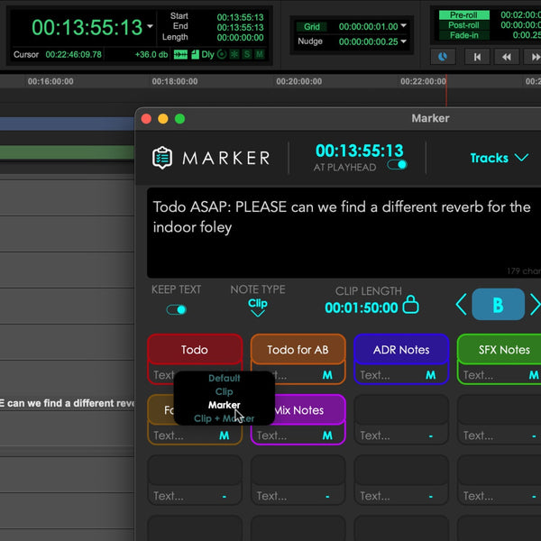 Speeding Up a Pro Tools Project Review with Audiokids Marker